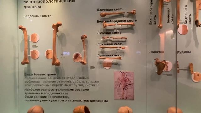Тула и Тульская область глазами туриста за 3 дня