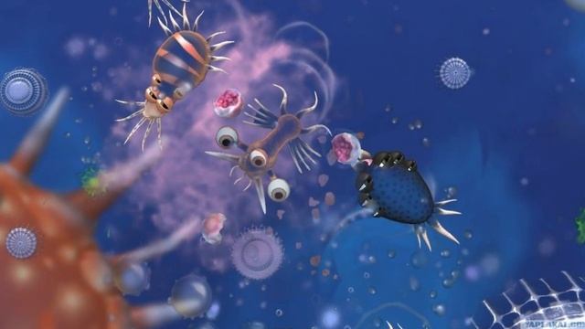 АМЁБА, КОТОРАЯ ПИТАЕТСЯ ЧЕЛОВЕЧЕСКИМ МОЗГОМ! смотреть онлайн