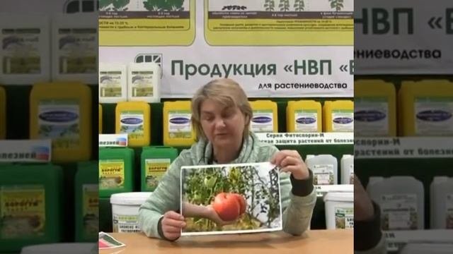 Сорт 
