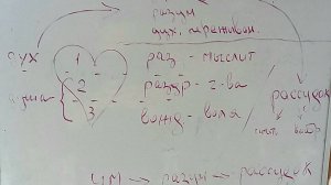 Что такое сердце, если в нем разум? (отрывок из воскресной беседы в Губино, 30.06.2024)