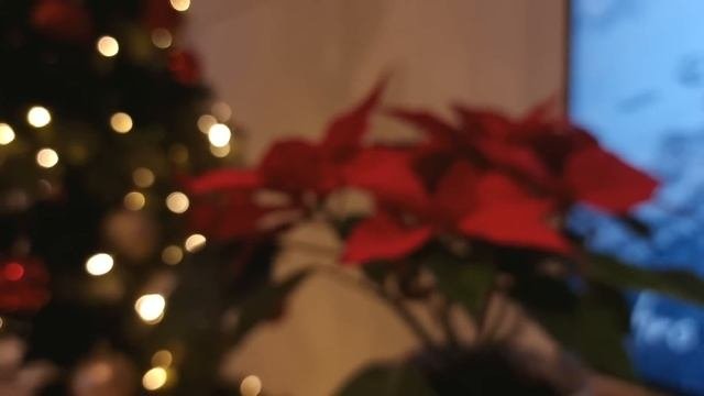 Vlog 1/2024 | мое уютное новогоднее вязание ?✨️ новый процесс ? шикарный подарок от Тайного Санты