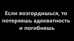 Феномен удачливости и индикаторы (Бред Меняйлова)