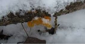 открытие сезона смотреть онлайн