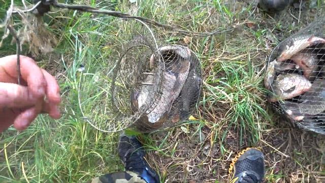 Итог рыбалки на рыбхозе Весна. смотреть онлайн