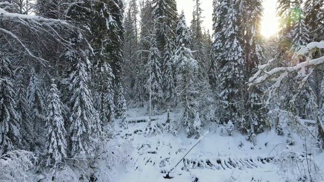 Зима, Сибирские просторы. Winter, Siberian expanses. смотреть онлайн