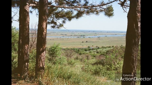 Фото на плёнку Canon 300D смотреть онлайн