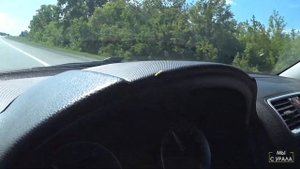 Река Теча. Муслюмово. Замеры радиации.