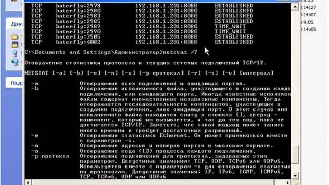 NETSTAT - статистика активных подключений TCP смотреть онлайн