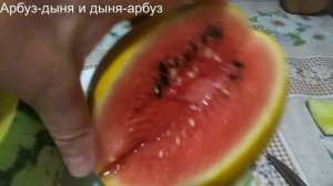 Гибриды  Арбуз-дыня или Дыня-Арбуз