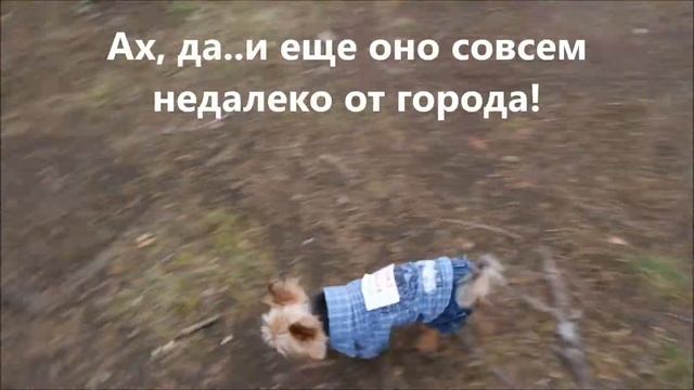 Part 2. Коркинское озеро. смотреть онлайн