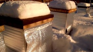 ВСЕ СЕКРЕТЫ ПЧЕЛОВОДСТВА!!!!!  КАК БЫСТРО ОСТАНОВИТЬ НАПАД НА УЛЕЙ!!!