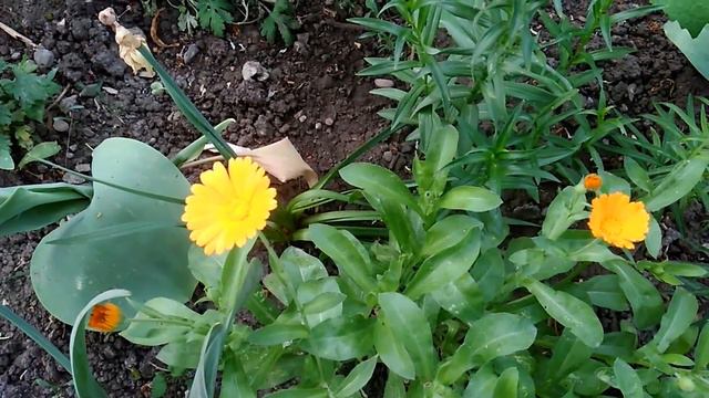 Научитесь увидеть удивительное в обыденном, и осознать себя смотреть онлайн