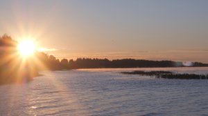 Шум реки на рассвете. Звуки природы для расслабления, сна и медитации