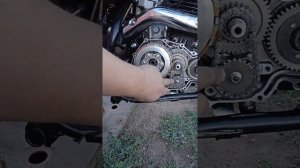 рейсер пантера 300 (сосите сами у тракториста ) ?