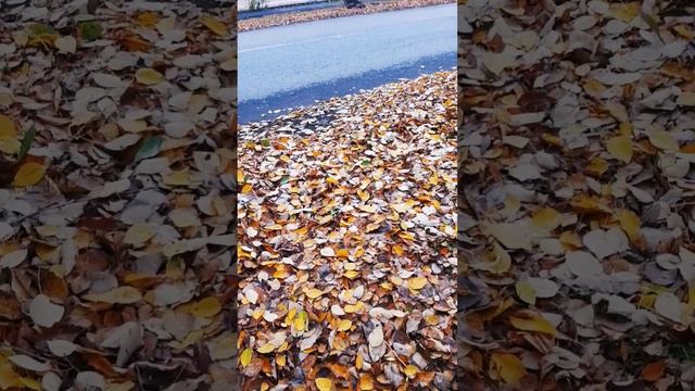 Ville de Solikamsk (Boróvsk) 🍁🏫🍁 Russie 🇷🇺 11/10/23