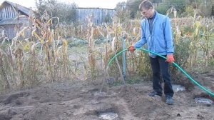 Подготовка посадочных ям под малину