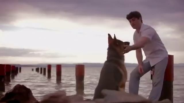 Отдам щенка в хорошие руки. смотреть онлайн