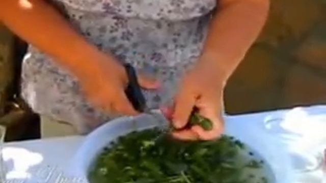Каперсы на Кипре.