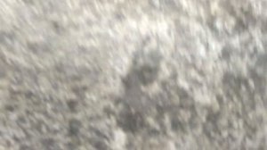 Основные неисправности ручного садового опрыскивателя.