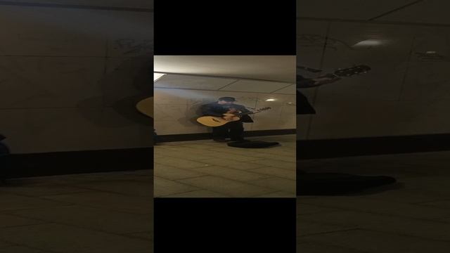 Уличный музыкат в московском переходе.