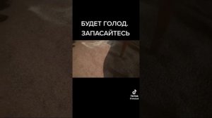 С канала Чудеса святого отрока Вятчеслава