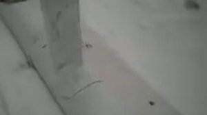 MOV0032A Аэросани своими руками.