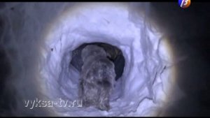 Как построить иглу?