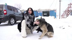 В Ухте собака насмерть загрызла человека