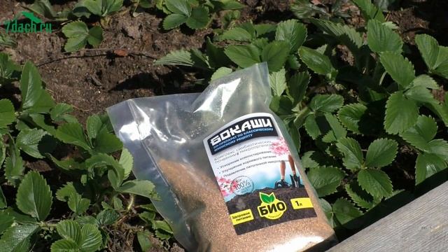 Май - заряжай клубнику на урожай - 7 дач смотреть онлайн