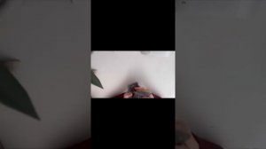 Став «Ледяной щит» (чистка, защита с обратной)