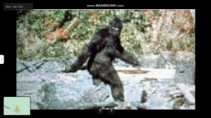 Снежный человек. Долина Блафф-крик. Тут обитает Бигфут в Америке