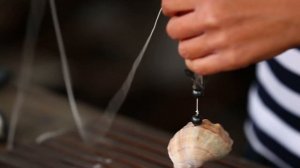 Поделки из ракушек - гирлянда и фоторамка//Мастер-класс по декору