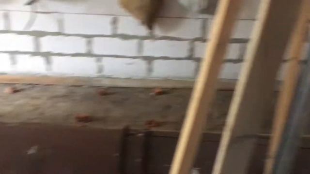 Заливаем бетонную стяжку в гараже