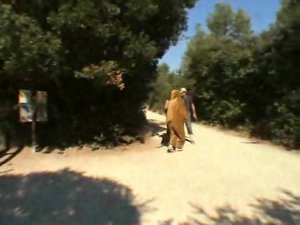 Безбашенный человек кенгуру)