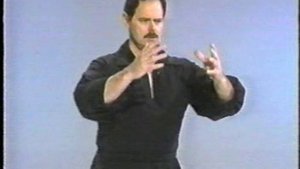 Девять драконов Багуачжан для уличного боя - Стойки, положение рук, осанка