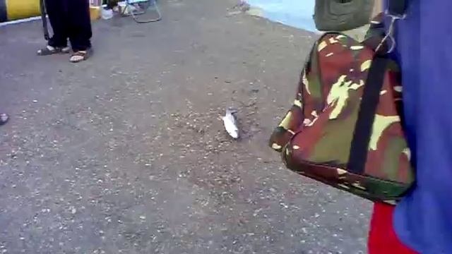 Рыбалка в Туапсе