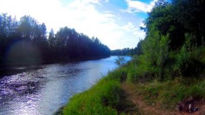 Рыболовный пикник. Река Луга.