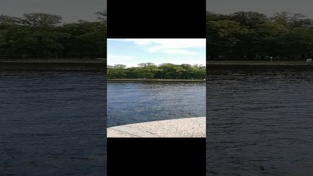 Вид с Каменноостровского моста на Малую Невку.