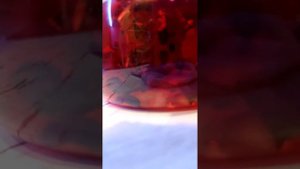 Гранатовый чай рецепт 🫖♥️ Tea recipes