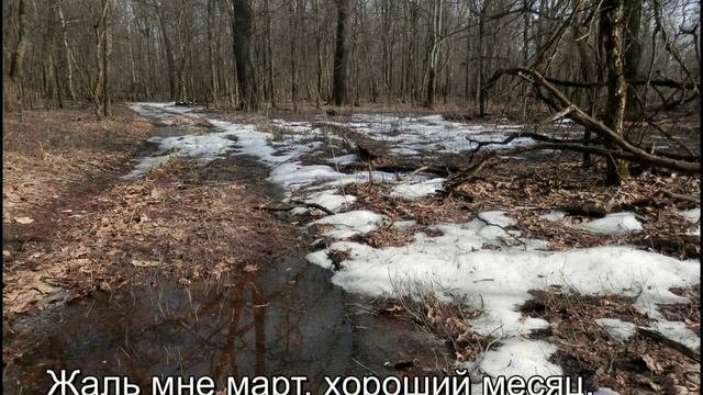 весна-2019