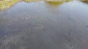 Тени исчезают в полдень