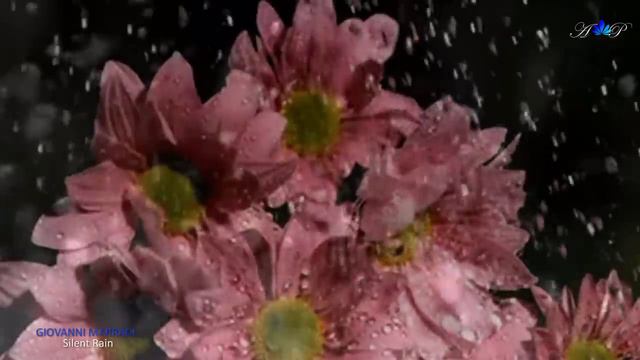 GIOVANNI MARRADI - Silent Rain смотреть онлайн