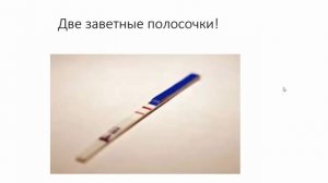 4 Четвертая неделя беременности, развитие беременности на этом сроке