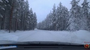 Зимняя дорога в лесу