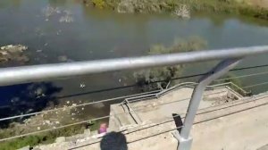 ВИДЕО ИЗ ЗАПОВЕДНИКА!!!