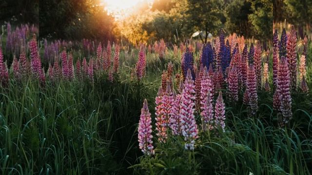 ?Медитация «Знакомство с внутренним миром»? ?ВКЛЮЧИ НАУШНИКИ ? смотреть онлайн