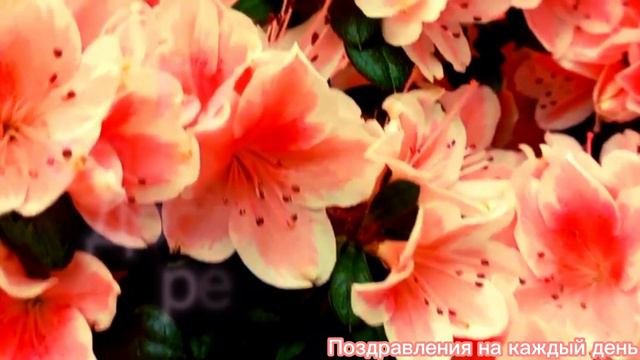 З Днем народження вітаю. Привітання з днем народження для жінок.