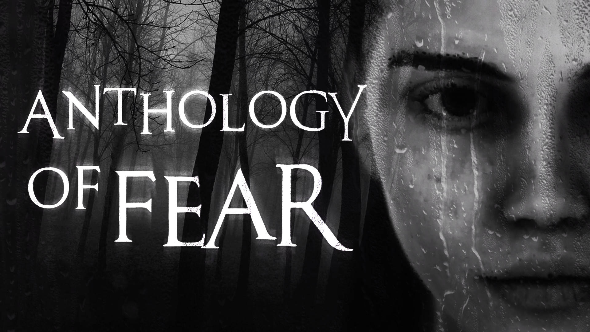 Anthology Of Fear, первый взгляд.