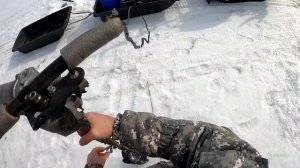 Рыбалка хапугами ранней весной. Рыба не лезет в 180 лунку!?! Рыбалка 2023.