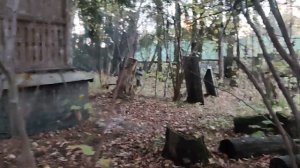 Игра в пейнтбол новичков